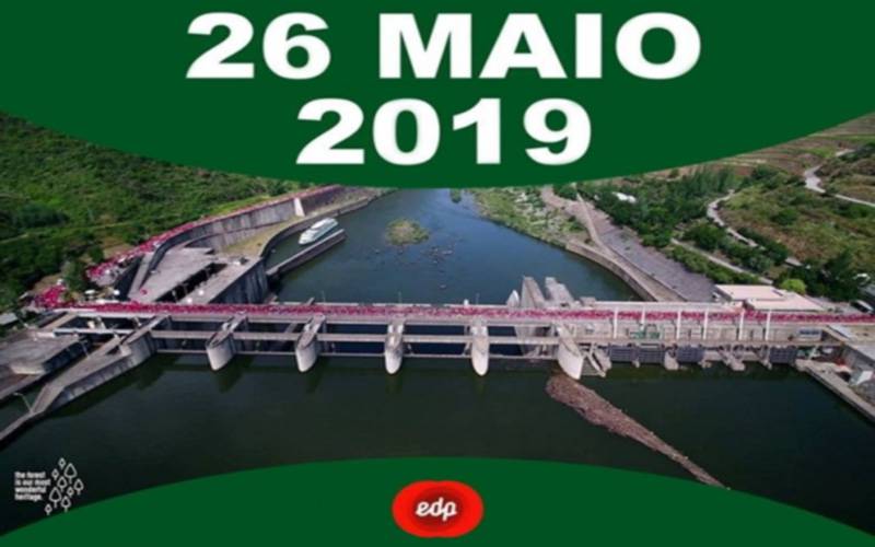 14ª EDP MEIA MARATONA DOURO VINHATEIRO – “A Mais Bela Corrida do Mundo”